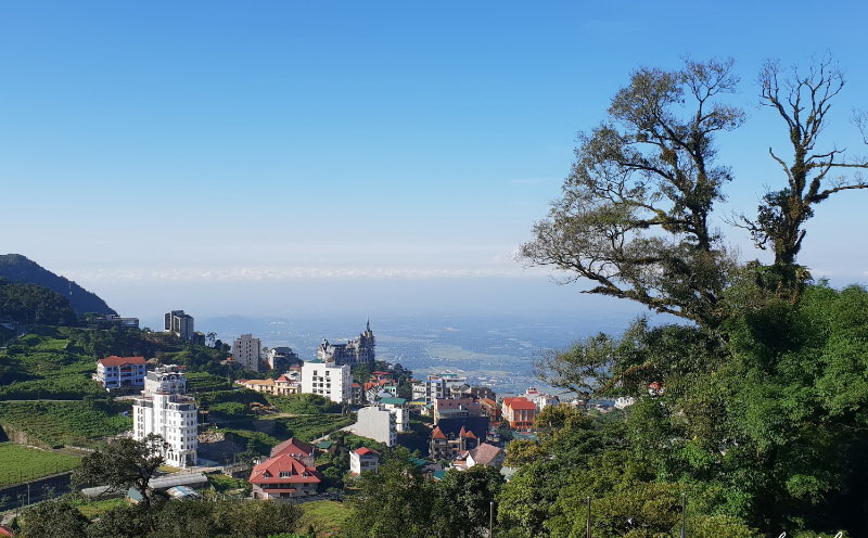 Tam Đảo