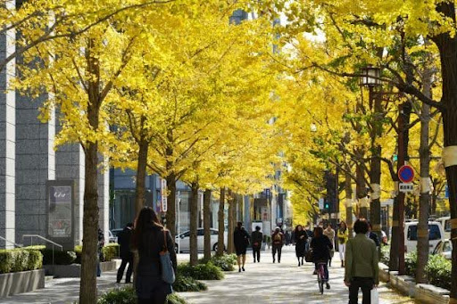 Midosuji Avenue