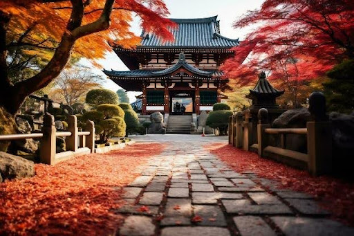 chua-todaji