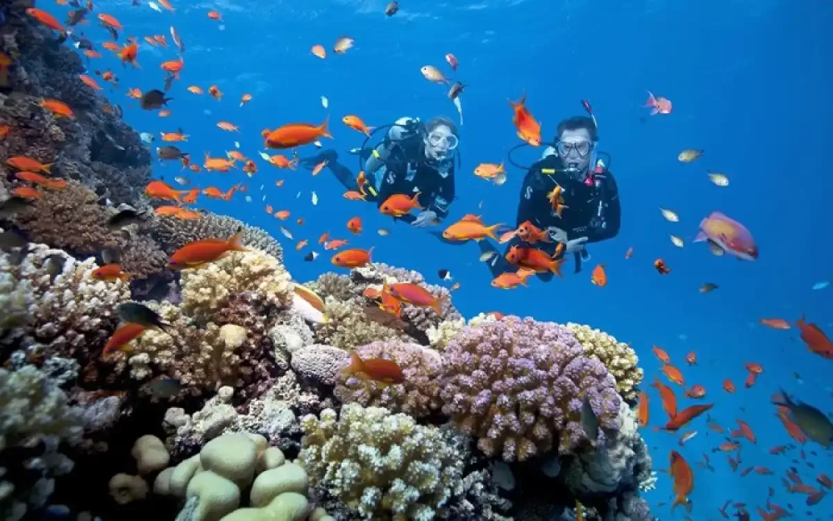 Phu Quoc Dive Center SCUBA DIVING Combined tour program to the South Island 1