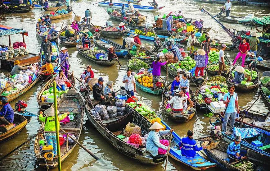 Mekong Delta Cruise Tour by Limousine & Water Puppet Show 3