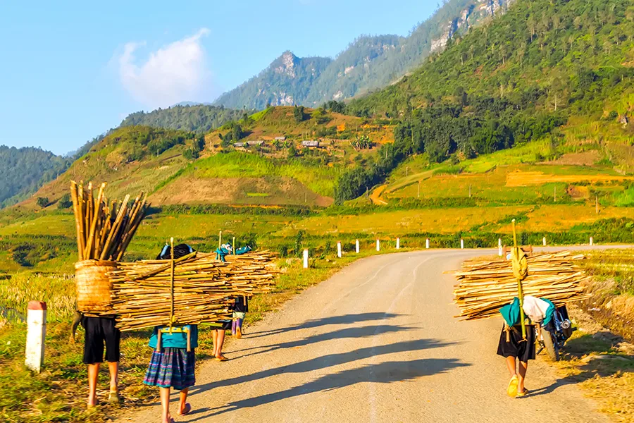 Hanoi - Ninh Binh - Halong Bay - Sapa 6 Days 5 nights 8