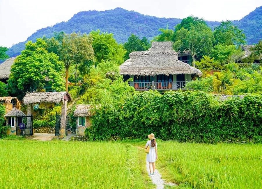 Hanoi – Ninh Binh – Ha Long – Da Nang – Bana Hills – Ho Chi Minh – Phu Quoc 13 Days 12 Nights 10