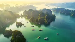 Ha Long 2D1N Family Trip Review