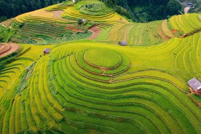 Family Travel Guide: Mù Cang Chải in a Nutshell