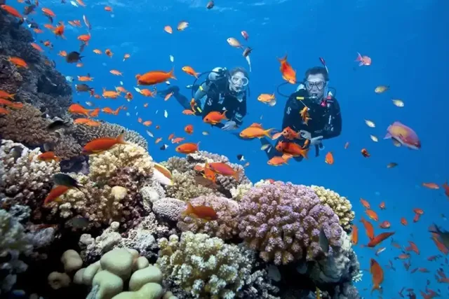 Phu Quoc Dive Center SCUBA DIVING Combined tour program to the South Island