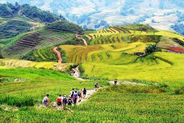 Hanoi – Sapa - Ha Long - Ninh Binh 8 Days 7 Nights