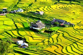 Sapa Trekking – When Love and Youth Walk the Same Path